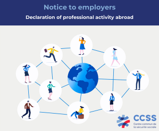 Declaration of professional activity abroad