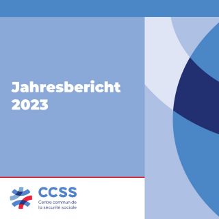 Der CCSS-Jahresbericht 2023 ist online! 