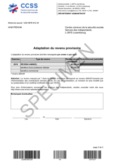 Spécimen 1 de formulaire reçu suite à une demande de formulaire d'adaptation du revenu provisoire pour indépendants