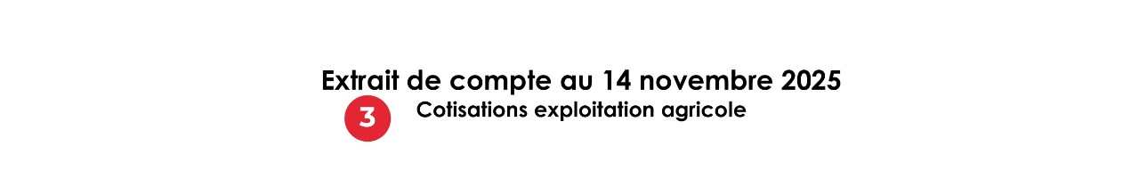 Type de l'extrait de compte